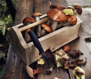 High angle view of mushrooms in wooden container on table