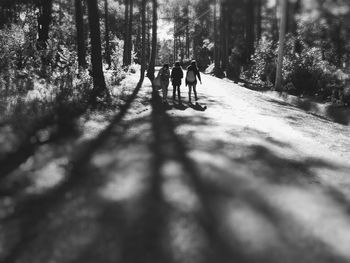 People on footpath in forest