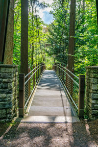 Footbridge amidst trees in forest in bellevue, washington.