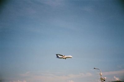 Low angle view of seagull flying in the sky