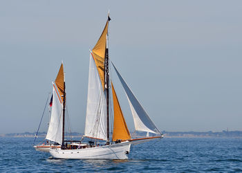 Sailboat sailing on sea against clear sky