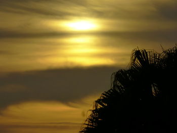 Silhouette trees against sky during sunset