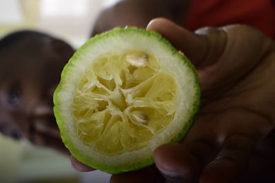 Close-up of hand holding fruit