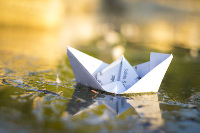 Close-up of paper floating boat on water