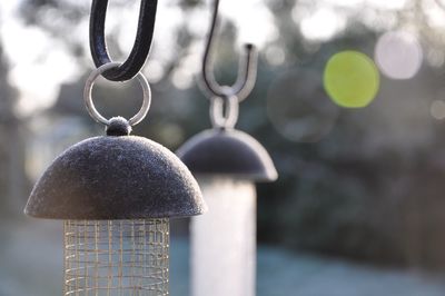 Close-up of bird feeders hanging outdoors