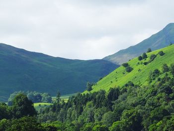 Scenic view of mountains