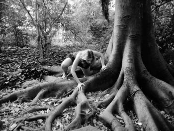 Monkey on tree trunk in forest