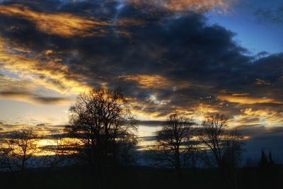 Silhouette of trees against cloudy sky