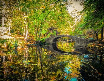 View of bridge over river against trees