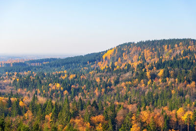 Scenic view of forest against sky during autumn
