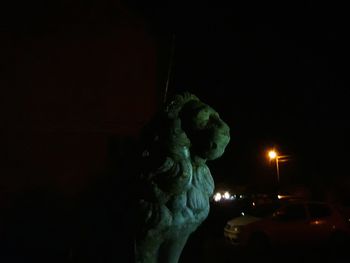 Man photographing illuminated lamp against sky at night