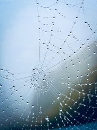 Close-up of wet spider web against sky during rainy season