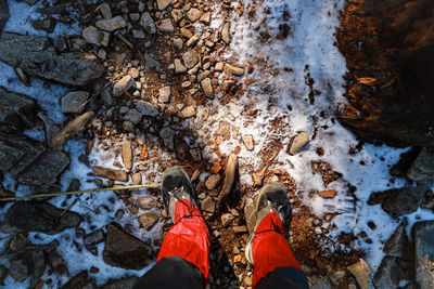 Low section of person standing on snow