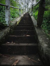 Staircase in forest