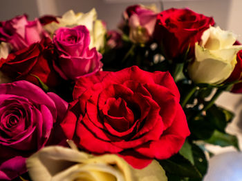 Close-up of rose bouquet in my house