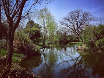 Reflection of trees in lake against sky