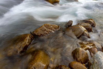 Close-up of rocks in sea