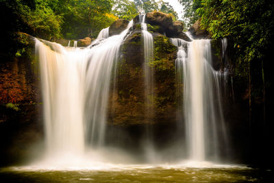 Scenic view of waterfall in forest