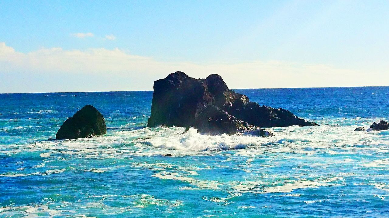 sea, horizon over water, beauty in nature, nature, water, scenics, no people, sky, waterfront, outdoors, day, animal themes, animals in the wild, sea life, mammal, humpback whale