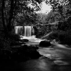 Scenic view of waterfall in forest
