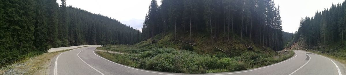 Empty road amidst trees in forest against sky