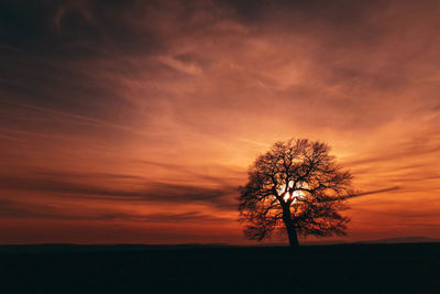 Silhouette tree on field against romantic sky at sunset