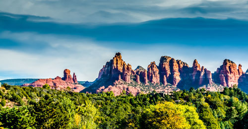 Panoramic view of flowers and mountains against sky