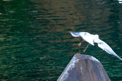 Close-up of water