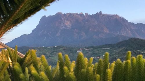 Panoramic view of plants and mountains against clear sky