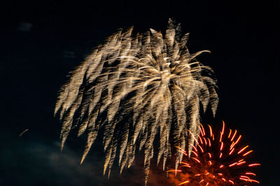 Low angle view of fireworks against sky at night