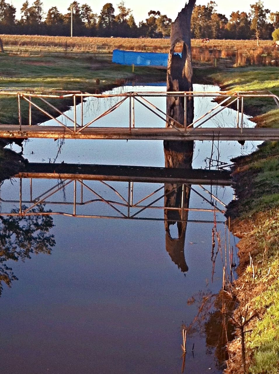 connection, water, bridge - man made structure, built structure, river, waterfront, tree, architecture, reflection, engineering, bridge, lake, nature, tranquility, sky, no people, day, metal, outdoors, transportation