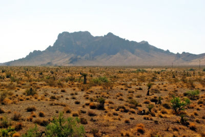 Scenic view of landscape and mountains against sky