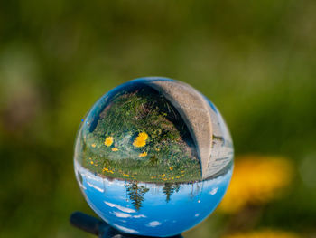 Close-up of crystal ball on glass