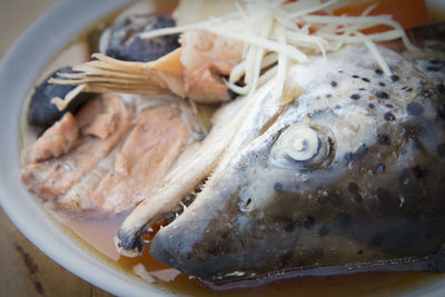 Close-up of fish in plate