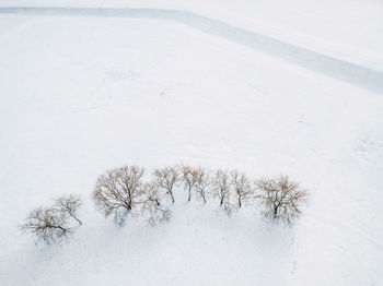 High angle view of bare tree during winter