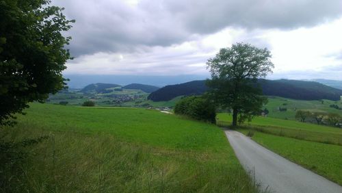 Scenic view of field and trees against sky