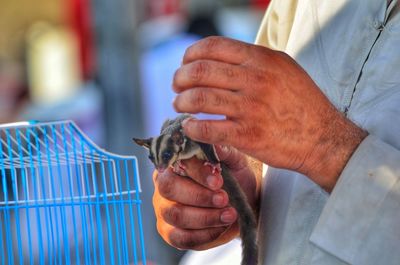 Close-up of man holding bird