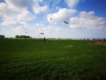 Birds flying over grassy field against sky