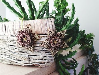 Close-up of plant in basket on table