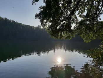 Scenic view of lake in forest against sky