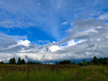 Scenic view of field against sky