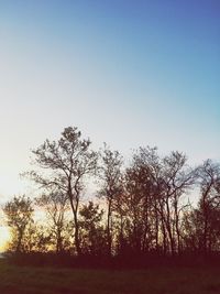 Trees on field against clear sky