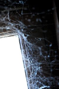 Close-up of water drops on spider web against window