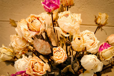 High angle view of roses on plant