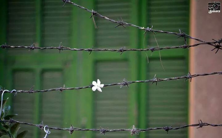 fence, protection, safety, chainlink fence, security, focus on foreground, metal, barbed wire, close-up, metallic, padlock, day, chain, forbidden, outdoors, no people, lock, rusty, wire, hanging