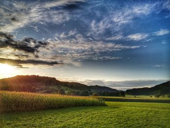 Scenic view of field against sky