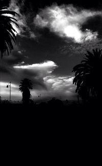 Silhouette of palm trees against cloudy sky