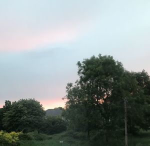 Trees on field against sky during sunset