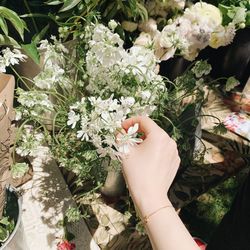 Cropped hand of woman touching flowers