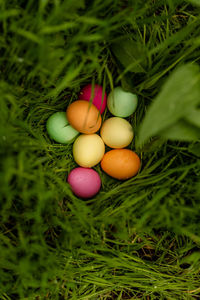 Close-up of easter eggs on grass